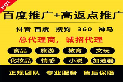 竞价推广代运营：成功案例解析